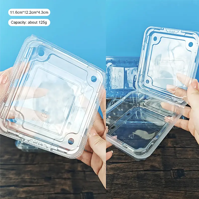 Square PET Blueberry Plastic Box